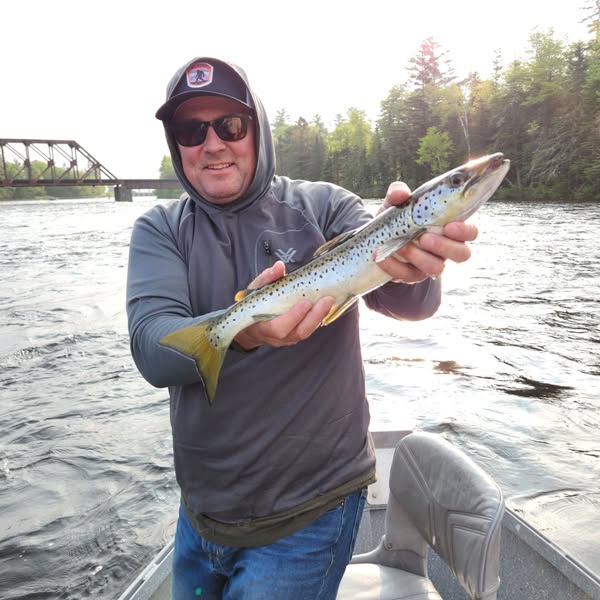 Chris Gauge Pool salmon.jpg.jpg
